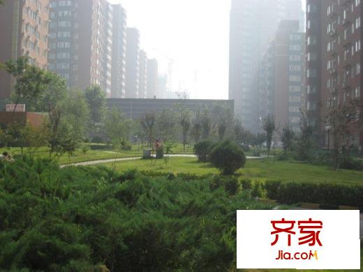 定福家园外景图绿化
