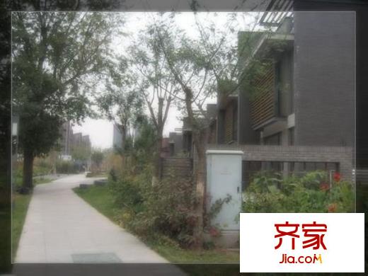 领秀新硅谷别墅外景图领秀新硅谷