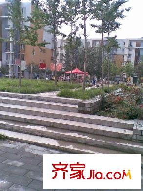 龙博苑一区配套图花园
