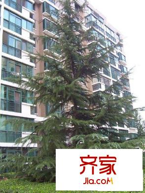 筑梦缘外景图实景图