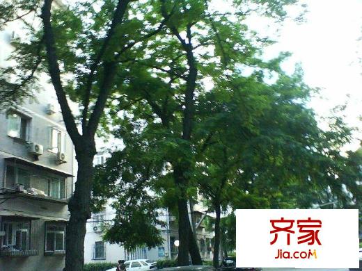农丰里外景图绿化