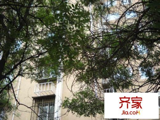 复兴路36号院外景图绿化图