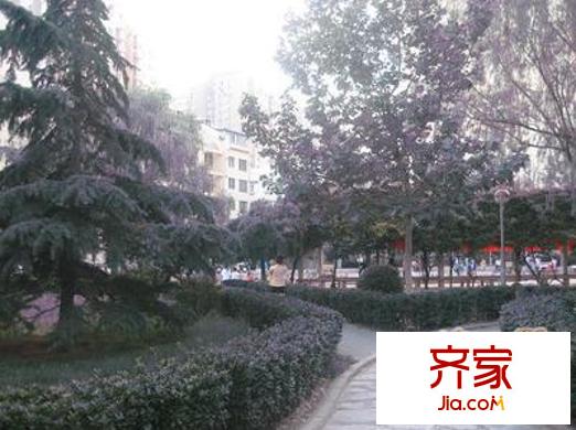 世纪村外景图