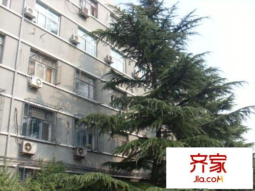 望花路东里外景图楼座图