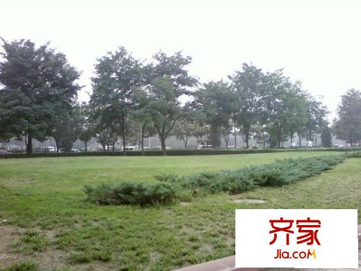 学士居外景图绿化