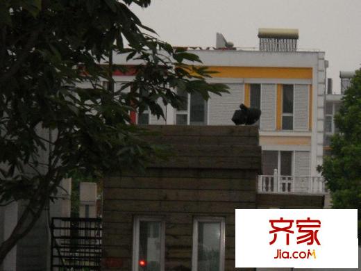 WeHouse外景图