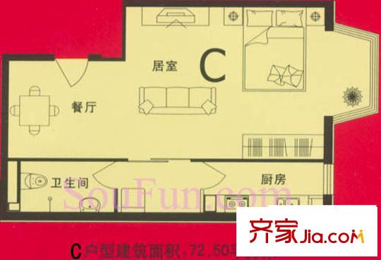 通典铭居户型图C户型 1室1厅1卫1厨