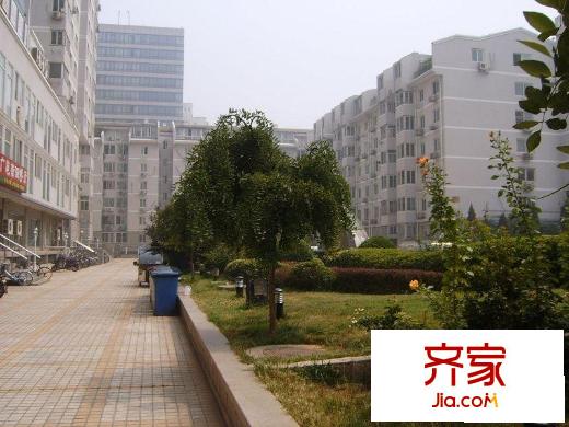 广电部小区外景图小区绿化设施