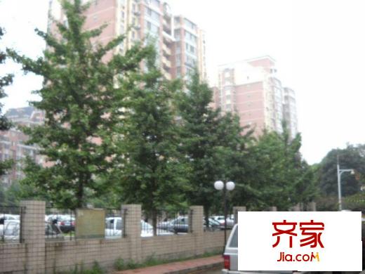 曙光花园望塔园外景图街道图