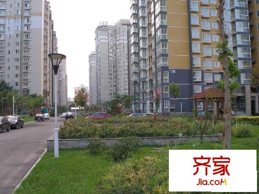 西局欣园外景图小区绿地