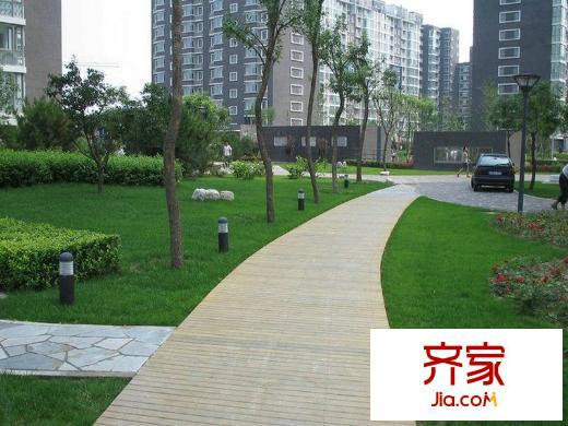 苹果派外景图