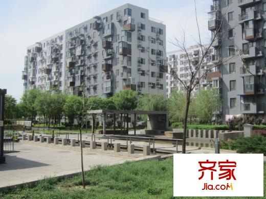 苹果派外景图