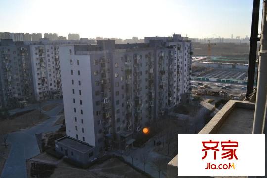 苹果派外景图