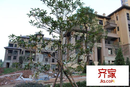 路劲隽泷湾(2015.3.25)