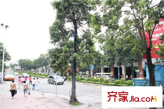 花语水岸周边道路(距离项目100米)