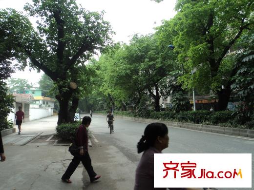 流花君庭项目附近环境(距离项目200米内)