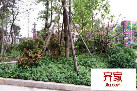 元邦明月水岸小区(2015.3.25)