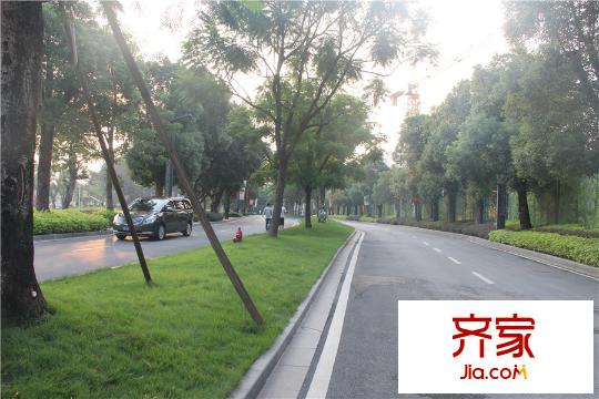 中信西关海小区园林(2015-9-25)