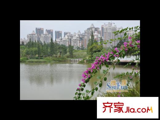 奥园养生广场配套图南区公园