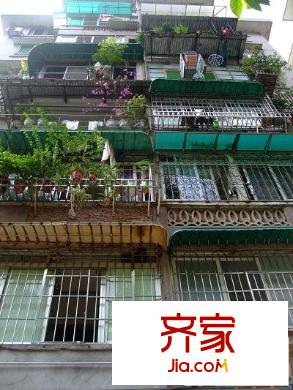 较场西路体委大院外景图