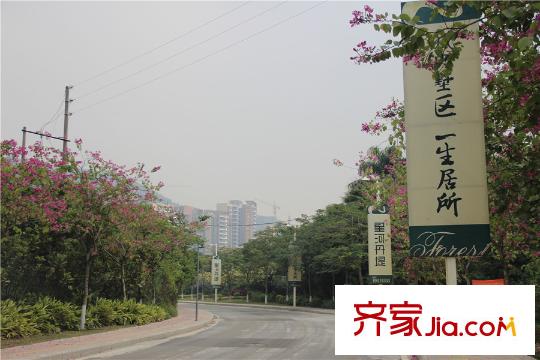 广州星河丹堤项目下山通道