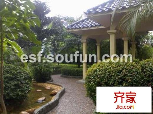泰沙路小区外景图花园