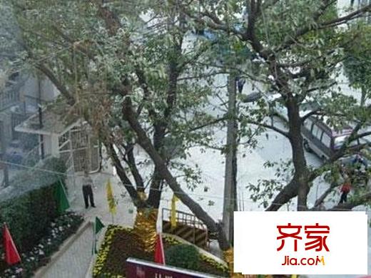 富力朗逸轩外景图 景观