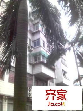 寺贝新街大院外景图