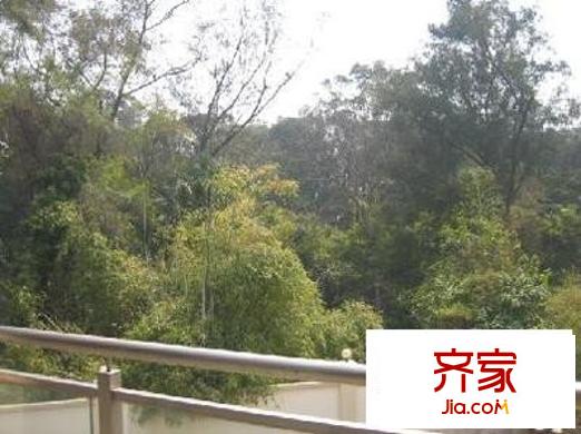 淘金东路小区外景图淘金东路