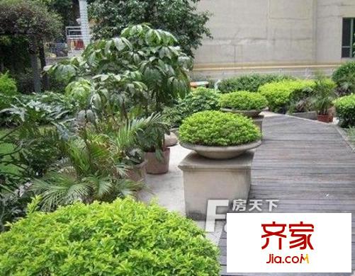 光大花园和榕风景(F区)外景图