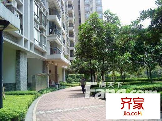 光大花园和榕风景(F区)外景图