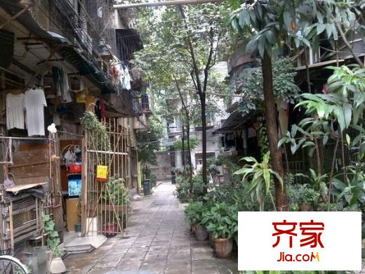 盘福路机关大院外景图
