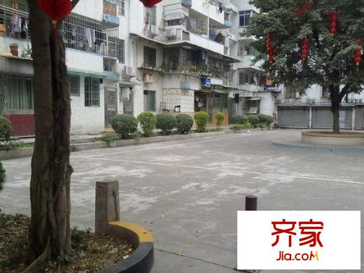 金建苑外景图
