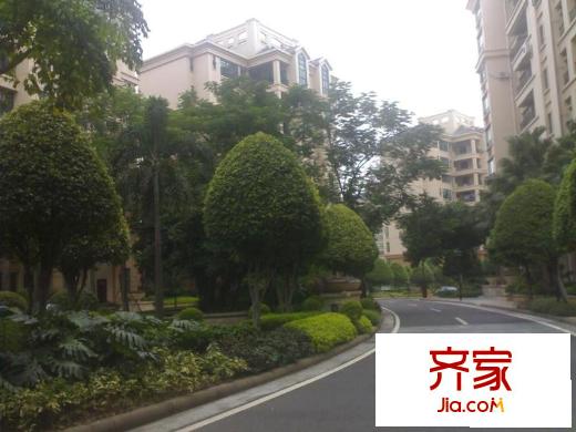 广州雅居乐花园邻居外景图
