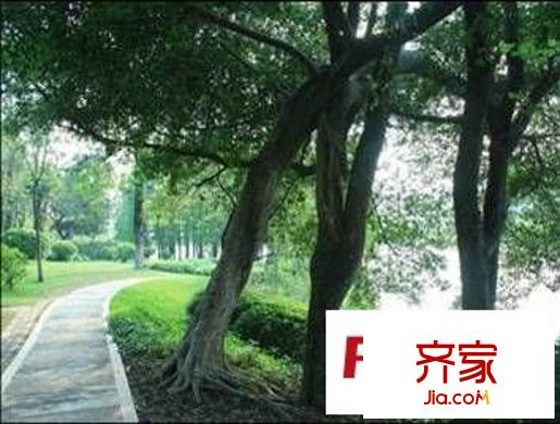 淘金家园三期外景图