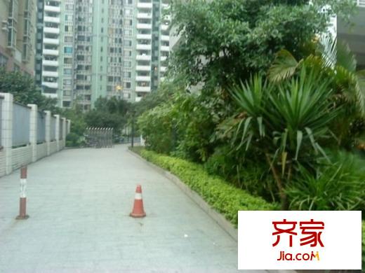 大学印象外景图