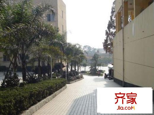 大学印象外景图