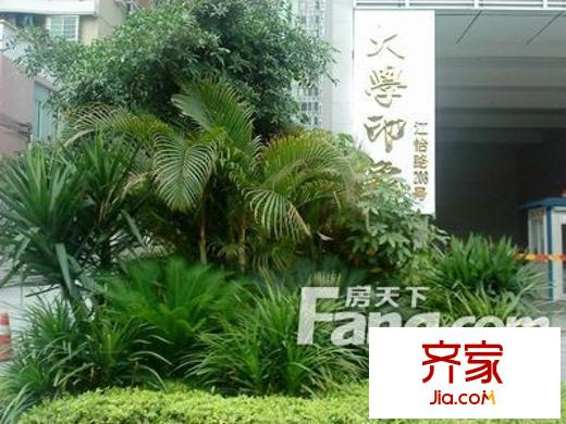 大学印象外景图