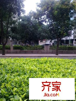 东湖豪苑外景图