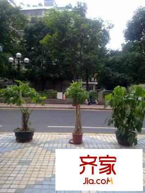 东湖豪苑外景图