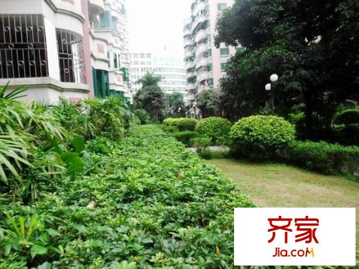 紫林居外景图
