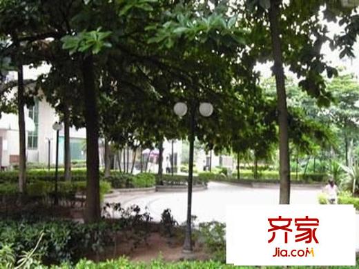 紫林居外景图