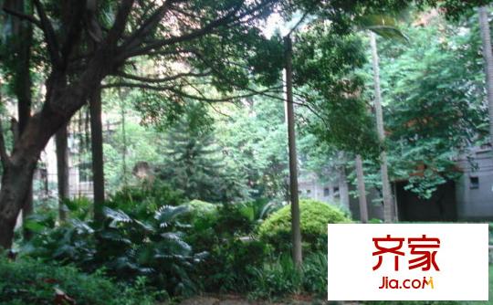 逸雅居外景图