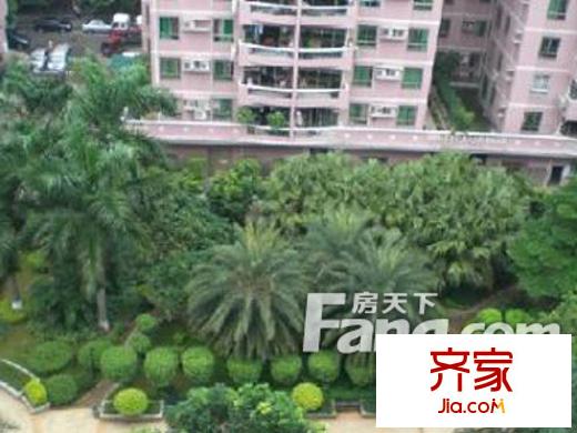 中信乐涛苑外景图