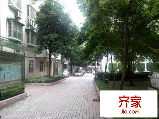 竹丝岗二马路小区外景图