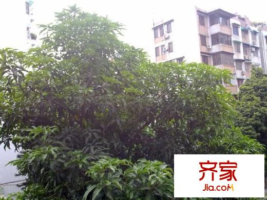 杏坛小区外景图