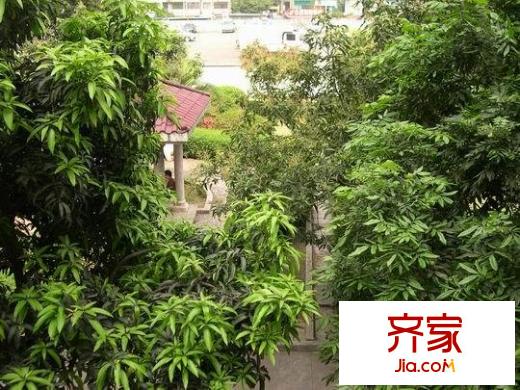 南方花园外景图