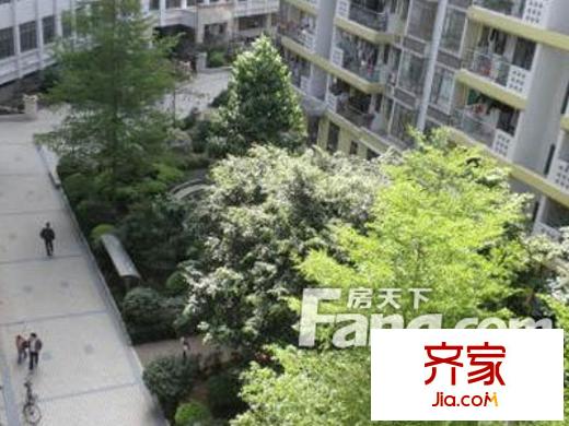 隆基怡苑外景图