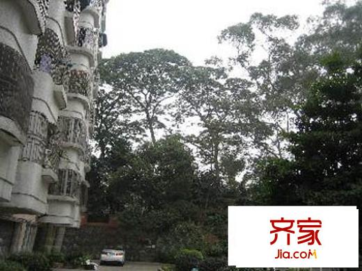 仙湖名苑外景图