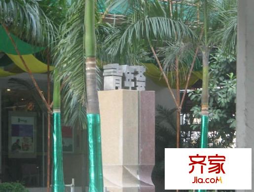 理想青年荟外景图